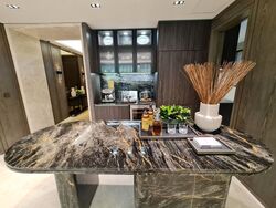 Klimt Cairnhill (D9), Apartment #362156331
